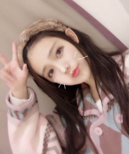 萝卜兔子 刘家系列